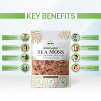 Wildcrafted St.Lucian Sea Moss